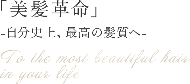 「美髪革命」-貴女史上、最高の髪質へ- To the most beautiful hair in your life